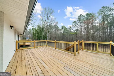 922 Linch Road, Senoia, GA 30276 - Photo 39