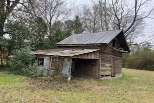 219 Main Street E, Bronwood, GA 39826 - Photo 45