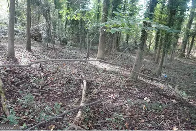 Lot 6 Pine Valley Drive, Royston, GA 30662 - Photo 13