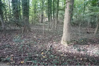 Lot 6 Pine Valley Drive, Royston, GA 30662 - Photo 7