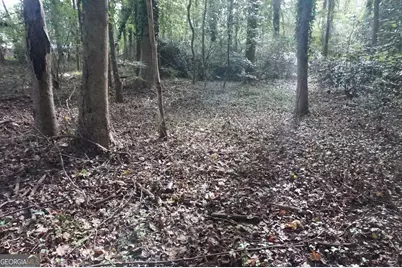 Lot 6 Pine Valley Drive, Royston, GA 30662 - Photo 9