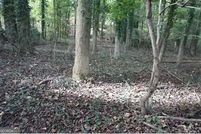 Lot 6 Pine Valley Drive, Royston, GA 30662 - Photo 1