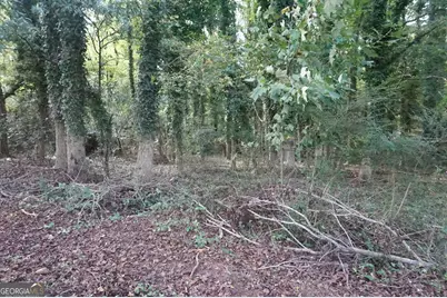 Lot 6 Pine Valley Drive, Royston, GA 30662 - Photo 3