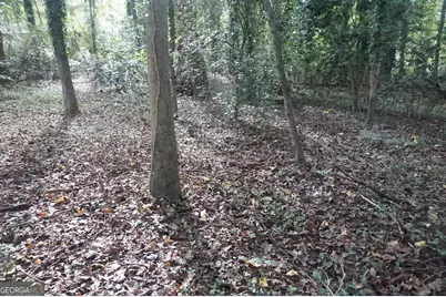 Lot 6 Pine Valley Drive, Royston, GA 30662 - Photo 11