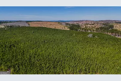 0 John Kay Road, Taylorsville, GA 30178 - Photo 11