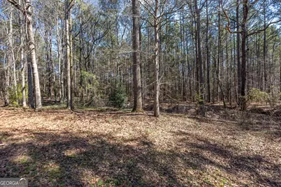 829 Thrash Road, Lagrange, GA 30241 - Photo 37