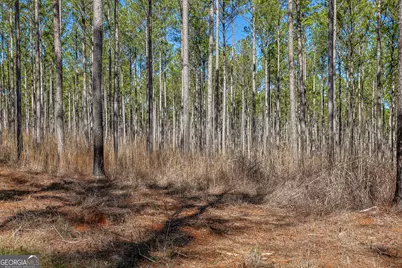 Tbd Old Zebulon Road, Forsyth, GA 31029 - Photo 37