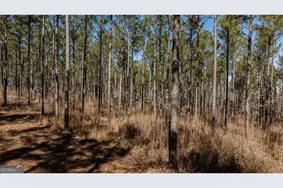 Tbd Old Zebulon Road, Forsyth, GA 31029 - Photo 11