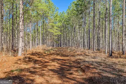 Tbd Old Zebulon Road, Forsyth, GA 31029 - Photo 45