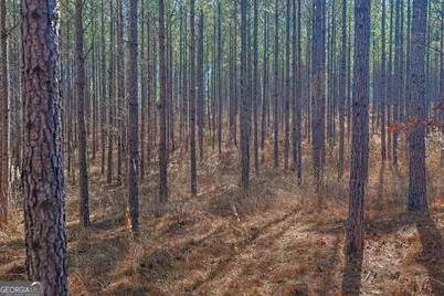 Tbd Old Zebulon Road, Forsyth, GA 31029 - Photo 25