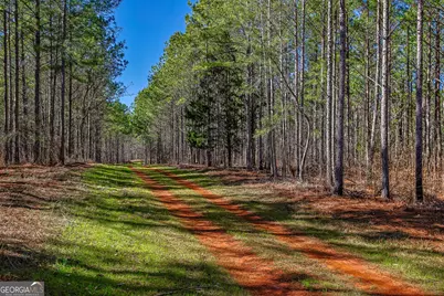 Tbd Old Zebulon Road, Forsyth, GA 31029 - Photo 7