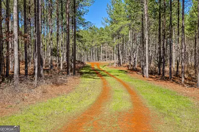 Tbd Old Zebulon Road, Forsyth, GA 31029 - Photo 19