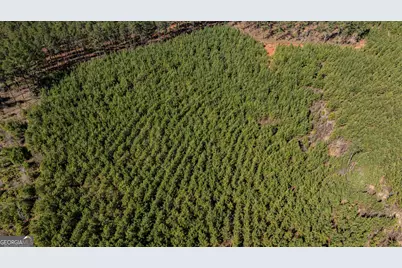 Tbd Old Zebulon Road, Forsyth, GA 31029 - Photo 47