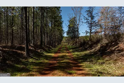 Tbd Old Zebulon Road, Forsyth, GA 31029 - Photo 51