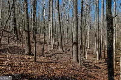 Tbd Old Zebulon Road, Forsyth, GA 31029 - Photo 3