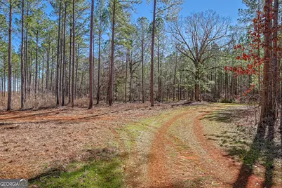 Tbd Old Zebulon Road, Forsyth, GA 31029 - Photo 57