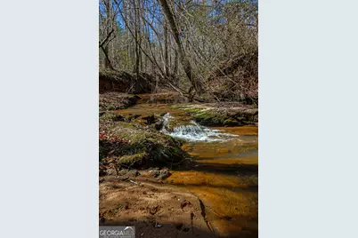 Tbd Old Zebulon Road, Forsyth, GA 31029 - Photo 43