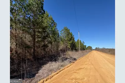 0 Rock Springs Road, Glenwood, GA 30428 - Photo 3