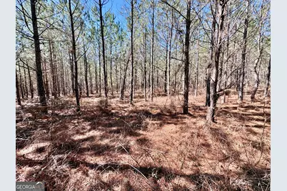 0 Rock Springs Road, Glenwood, GA 30428 - Photo 5