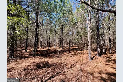 0 Rock Springs Road, Glenwood, GA 30428 - Photo 7