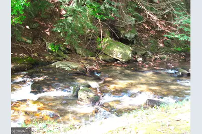 Q24 Goldmine Drive, Ellijay, GA 30536 - Photo 11