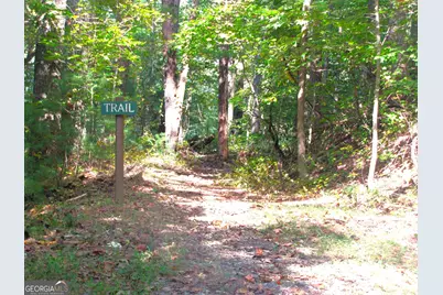 Q24 Goldmine Drive, Ellijay, GA 30536 - Photo 5