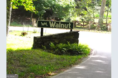 Q24 Goldmine Drive, Ellijay, GA 30536 - Photo 15