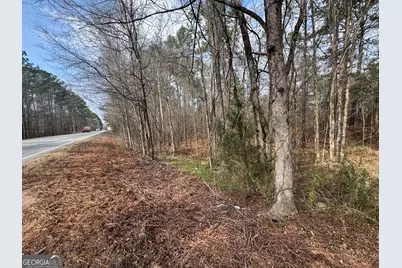0 Highway 87, Forsyth, GA 31046 - Photo 3