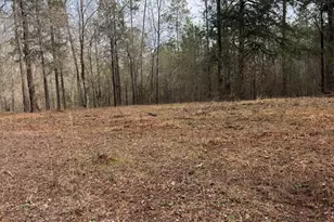 0 Hwy 87, Forsyth, GA 31046 - Photo 1