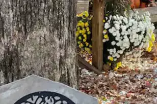 305 Golf Course Rd, Menlo, GA 30731 - Photo 17