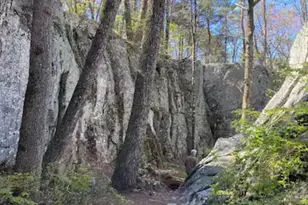 305 Golf Course Rd, Menlo, GA 30731 - Photo 23