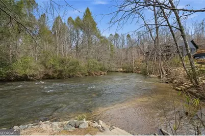 60 Chatham Lane, Epworth, GA 30541 - Photo 47