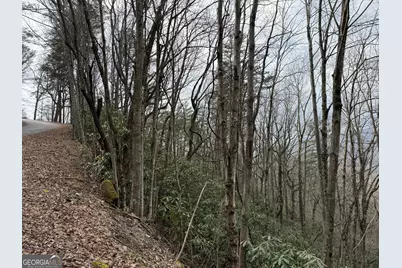 Lot 416 Screamer Drive, Clayton, GA 30525 - Photo 3