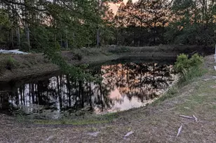 1670 Astoria Rd, Waycross, GA 31503 - Photo 25