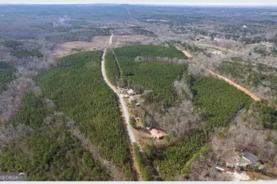 0 Macedonia Church Road, Buchanan, GA 30113 - Photo 11