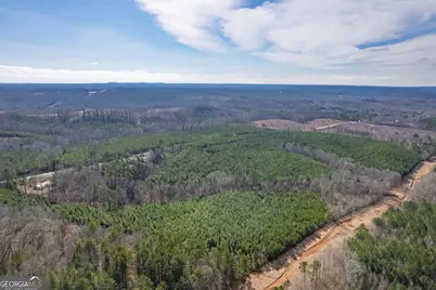 0 Macedonia Church Road, Buchanan, GA 30113 - Photo 7