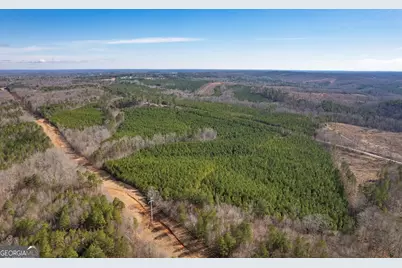 0 Macedonia Church Road, Buchanan, GA 30113 - Photo 5