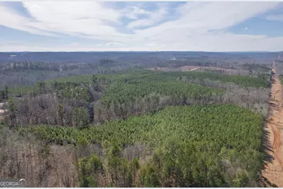 0 Macedonia Church Road, Buchanan, GA 30113 - Photo 15