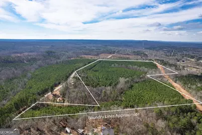 0 Macedonia Church Road, Buchanan, GA 30113 - Photo 3