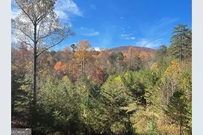160 Wood Poppy View, Big Canoe, GA 30143 - Photo 71