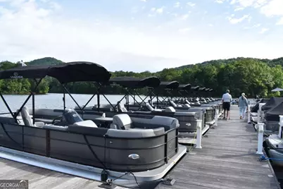 160 Wood Poppy View, Big Canoe, GA 30143 - Photo 85