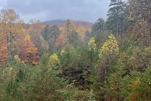 160 Wood Poppy View, Big Canoe, GA 30143 - Photo 73
