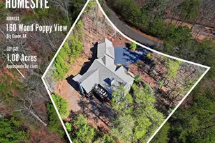 160 Wood Poppy View, Big Canoe, GA 30143 - Photo 67