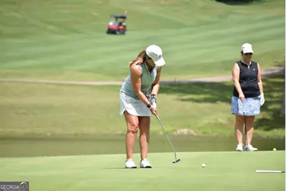 160 Wood Poppy View, Big Canoe, GA 30143 - Photo 89