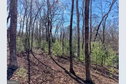 Lot 40 Lola Mae Way, Morganton, GA 30560 - Photo 17