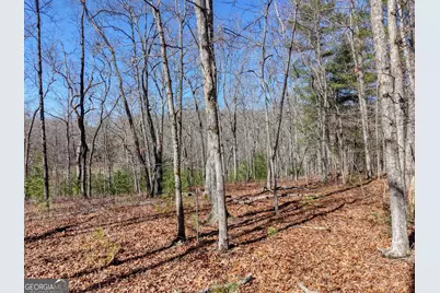 Lot 40 Lola Mae Way, Morganton, GA 30560 - Photo 15