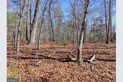 Lot 40 Lola Mae Way, Morganton, GA 30560 - Photo 3