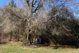 141 Shady Oaks Rd, Eastman, GA 31023 - Photo 7