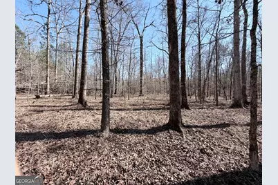 195 Margarets Grove Road SW, Crawfordville, GA 30631 - Photo 23