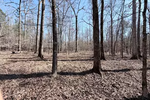 195 Margarets Grove Road SW, Crawfordville, GA 30631 - Photo 23